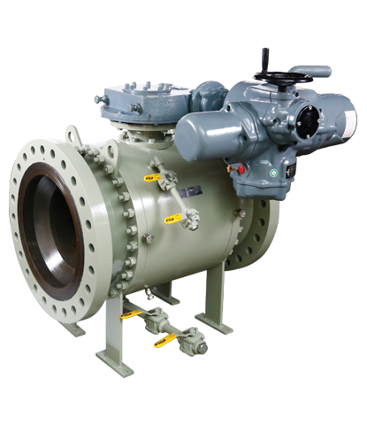 FORGED TRUNNION MOUNTED BALL VALVE